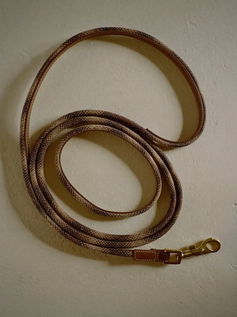Lesă Model 1